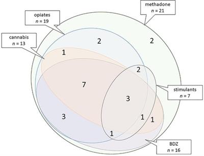 Executive functioning, behavioural, emotional, and cognitive difficulties in school-aged children prenatally exposed to methadone